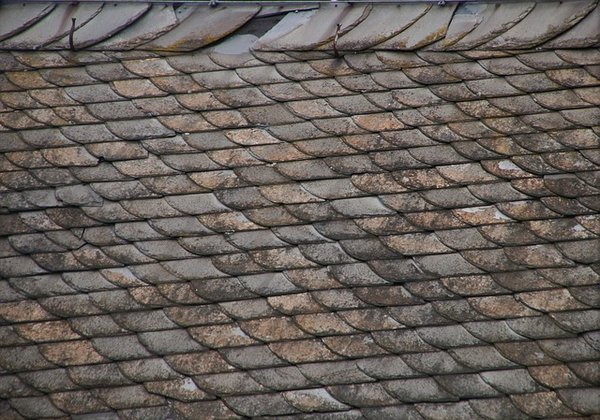 Choisir le Meilleur Isolant Pour Votre Maison: Guide Complet